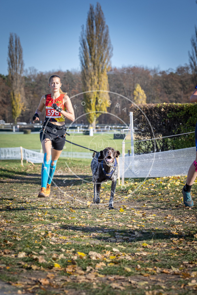 CaniXpix_DV3A9420 | Hundefotografie, Tierfotograf, Pfotenfotografie, Fotoshooting Hund, Hunde Portrait, Hundesport, Hundeportraits, Heideshooting, Hunde, Sportfotograf, Hundefotograf, Turnierhundsport, THS,  - Realisiert mit Pictrs.com