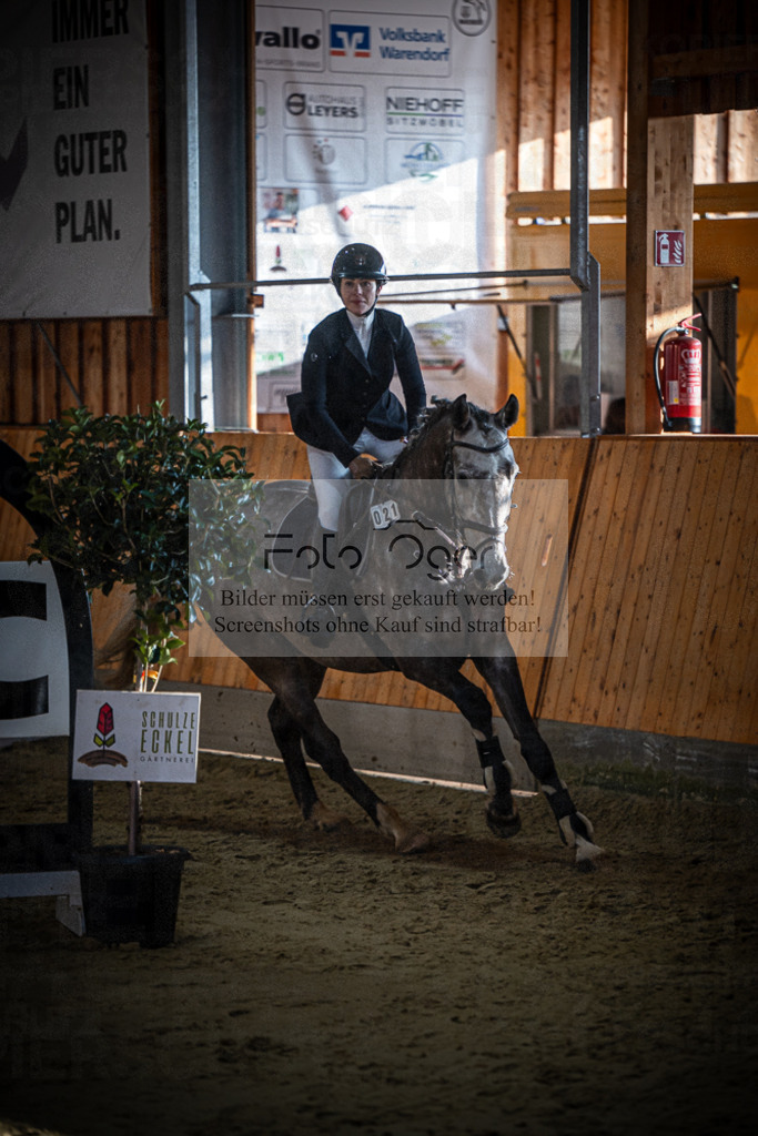 DOS_0807 | Entdecke hochwertige Reitturnierfotos von Foto Oger. Professionell, emotional und authentisch – jetzt Lieblingsmomente im Shop bestellen.Deutschlandweite Turnierfotografie. - Realisiert mit Pictrs.com