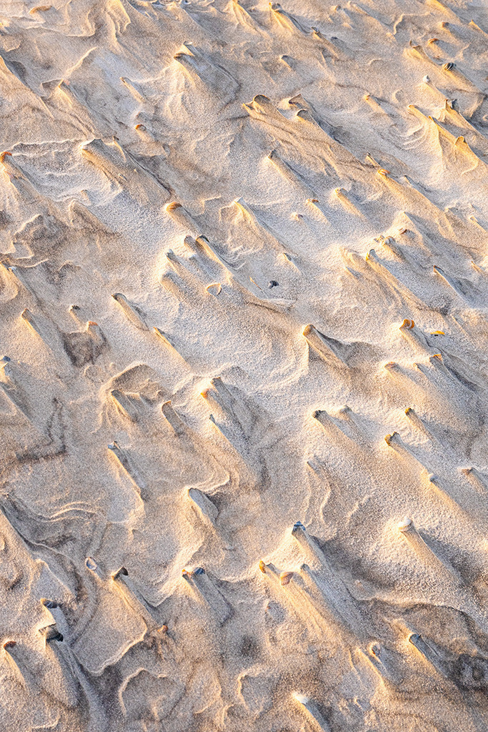 Vom Wind geschaffene Sandmuster am Strand von Spiekerook | Bestell. Nr. d_2023_02_2174 - Realisiert mit Pictrs.com