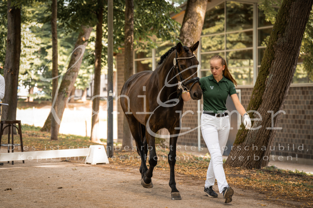 FrPfM00055 | Leoni Ertmer Photography - Realisiert mit Pictrs.com