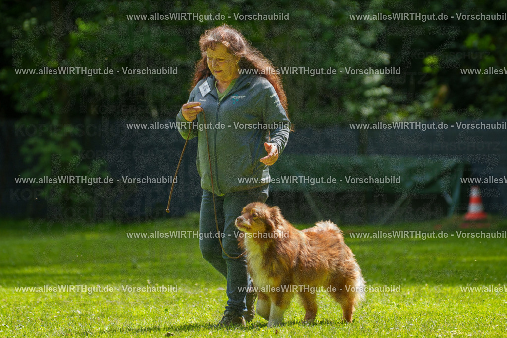 @allesWIRTHgut_Tierfotografie - www.allesWIRTHgut.de - 7R500853 | Professionelle Tierfotografie in Mönchengladbach von Daniel Wirth (allesWIRTHgut). Liebevolle & natürliche Bilder von Hunden & Katzen für unvergessliche Erinnerungen.