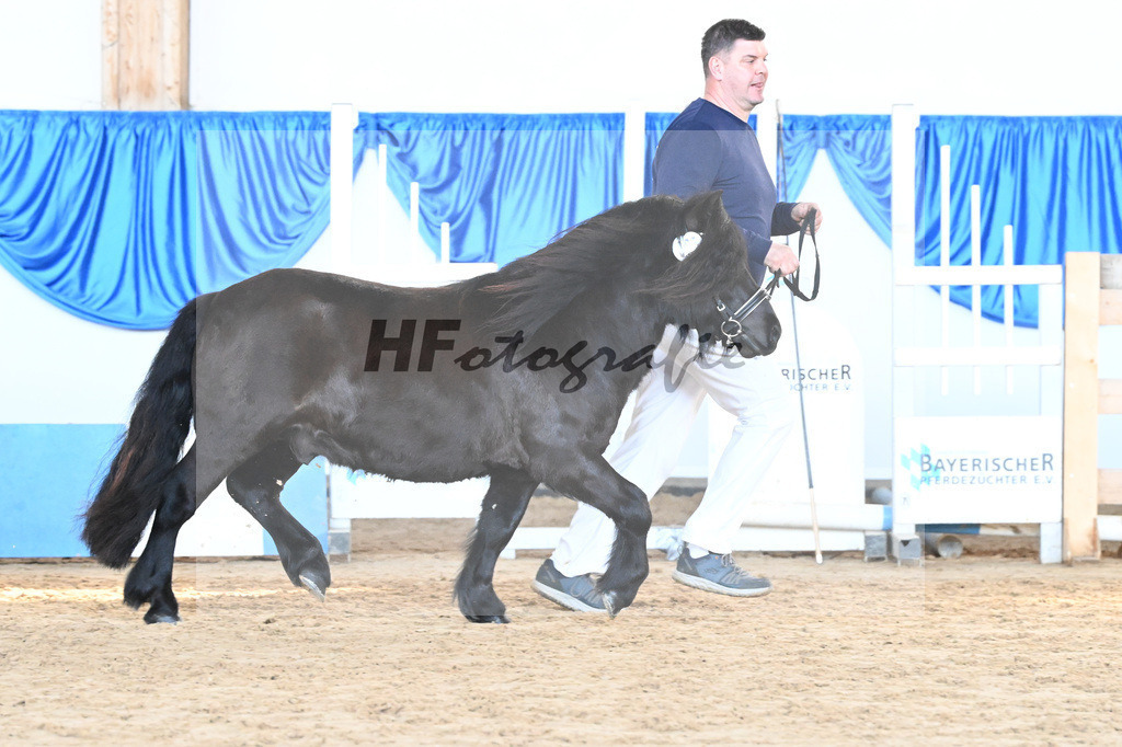 Kat-Nr. 25 Watson von Neuhaeusler v. Wolfgang v d Roemer_Baumann_9260637 | hf-fotografie - Realizzato con Pictrs.com
