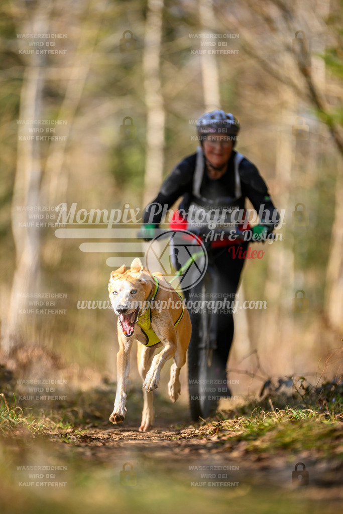 MompixPhotography_6ReiatRennen2026_SO_Scooter-33 | PayLife