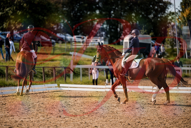 2026_10_03_Siefer-Hof_132853_Z63_90401201 | Professionelle Reitsport-, Turnier- und Eventfotografie von Robert Broda. Galerien mit ausgewählten und bearbeiteten Bildern direkt online ansehen und bestellen.