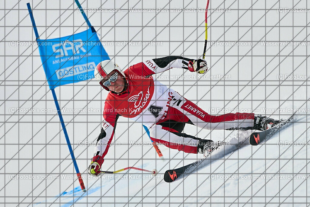 ALP6040_WCM-GS_Kat-A_Vorlaeufer_Wurzenberger Johann | (C)FotoLois.com, Alois Spandl, World Criterium Masters Ski Alpin 2023 Hochkar, GiantSlalom, Kategorie A, Do 23. März 2023.
