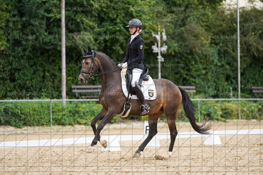 20240825-FAH00018 | Turnierbilder, Reitsportfotos, LAPO, Landesponyturnier, Turnierfotografen Bayern