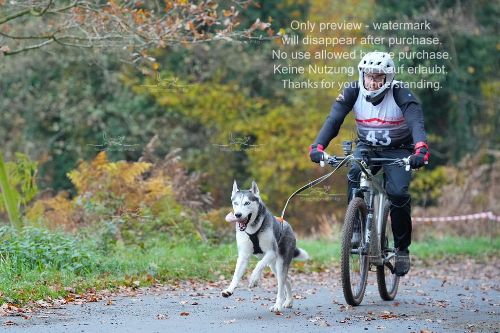 Bike_So-104 | stephaniefillaphotographie - Realisiert mit Pictrs.com
