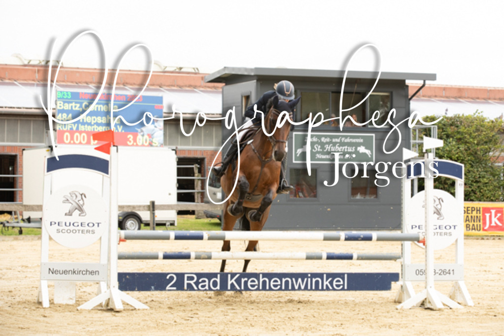 IMG_6553 | photographesa-joergens - Realisiert mit Pictrs.com