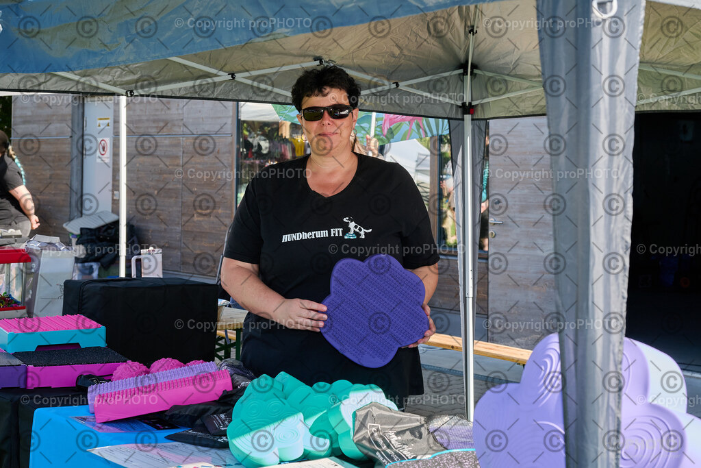 006_202509_4Hundebadetag_NZ9_2070 | proPHOTO - Realisiert mit Pictrs.com