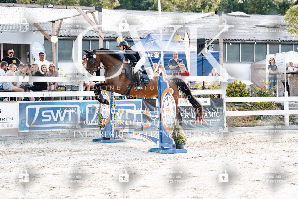 CK906384 | Turnierfotografie Pferdefotografie Trier Rheinland-Pfalz Pferdesport Reitsport Tierfotografie Sportfotografie Pferdevideo Pferdevideografie Equestrianvideography equestrianphotography  - Realisiert mit Pictrs.com