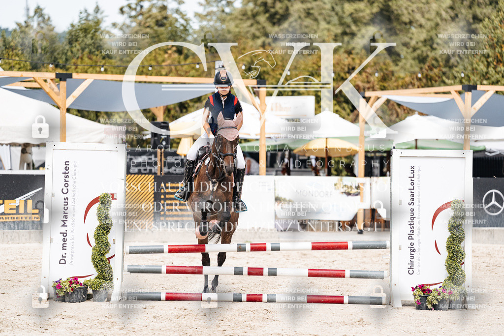 CK906702 | Turnierfotografie Pferdefotografie Trier Rheinland-Pfalz Pferdesport Reitsport Tierfotografie Sportfotografie Pferdevideo Pferdevideografie Equestrianvideography equestrianphotography  - Realisiert mit Pictrs.com