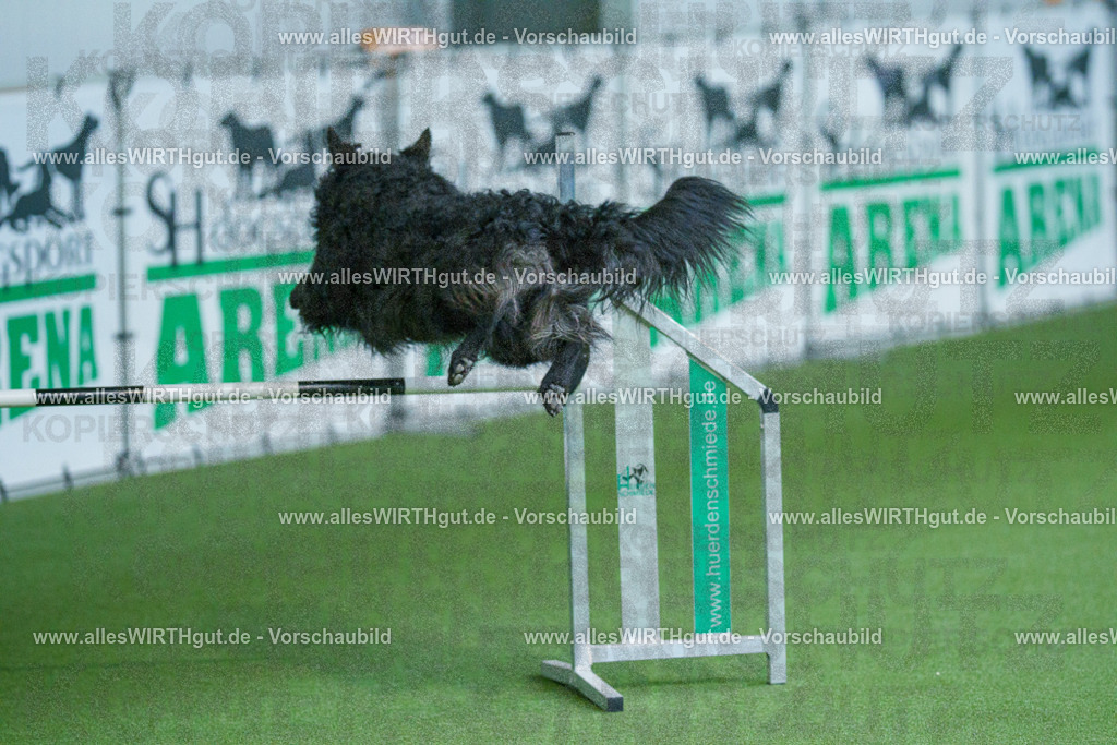 @allesWIRTHgut_Tierfotografie - www.allesWIRTHgut.de - 2604261525-7R505565 | Professionelle Tierfotografie in Mönchengladbach von Daniel Wirth (allesWIRTHgut). Liebevolle & natürliche Bilder von Hunden & Katzen für unvergessliche Erinnerungen.