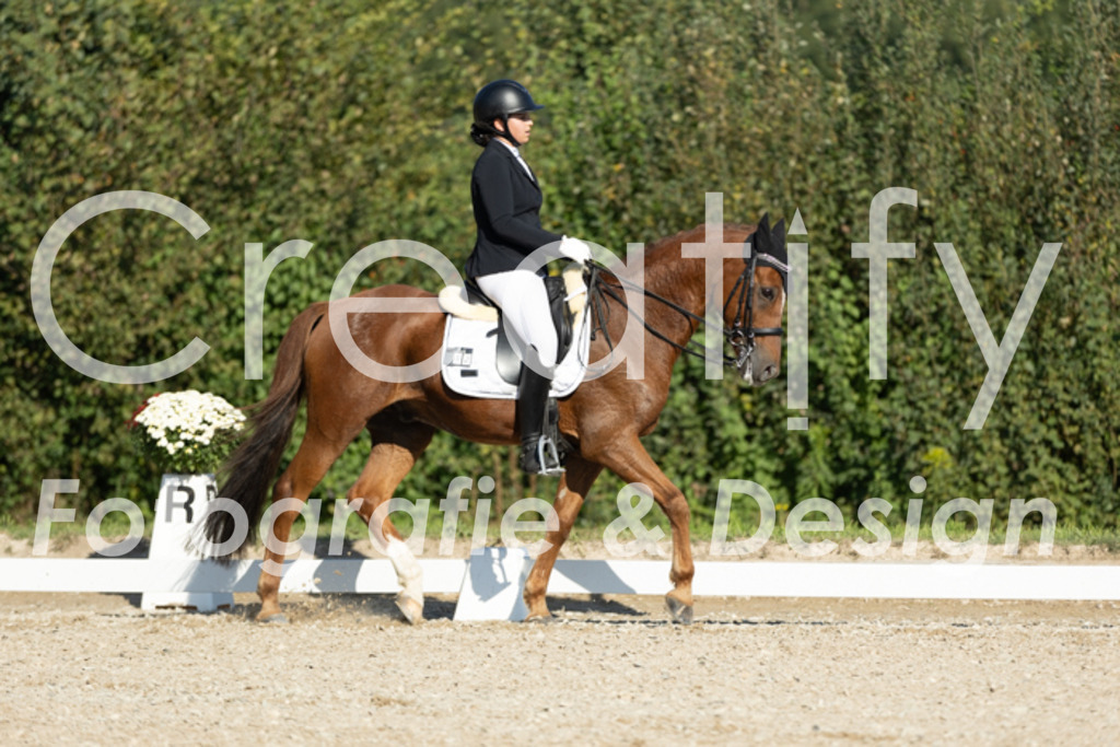 IMG_0661 | Creatify Fotografie