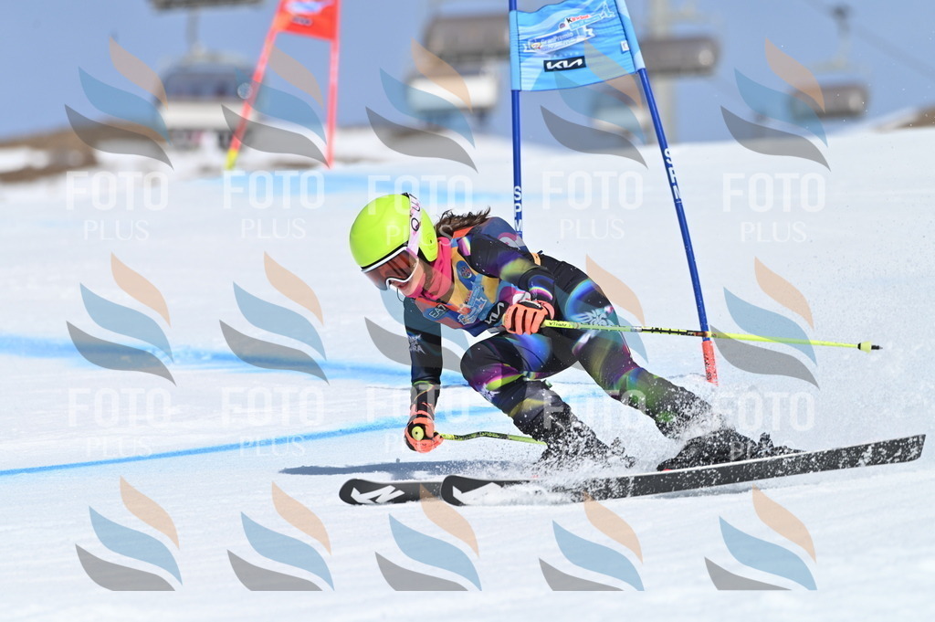 BGV_9849 | holidayphoto