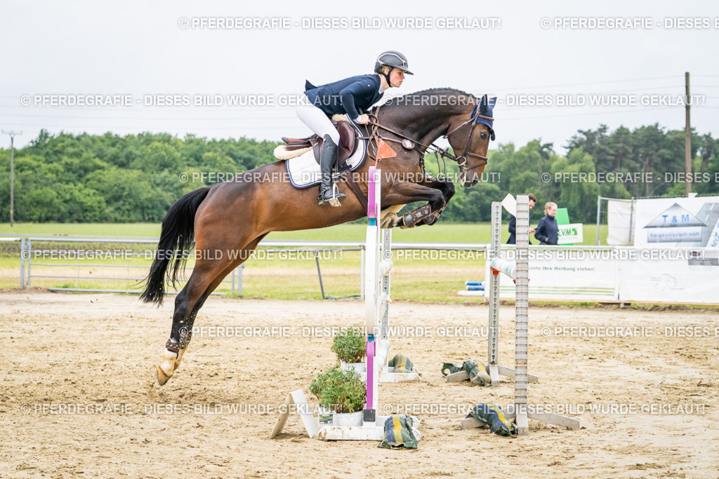 DSC02548 | Pferdegrafie