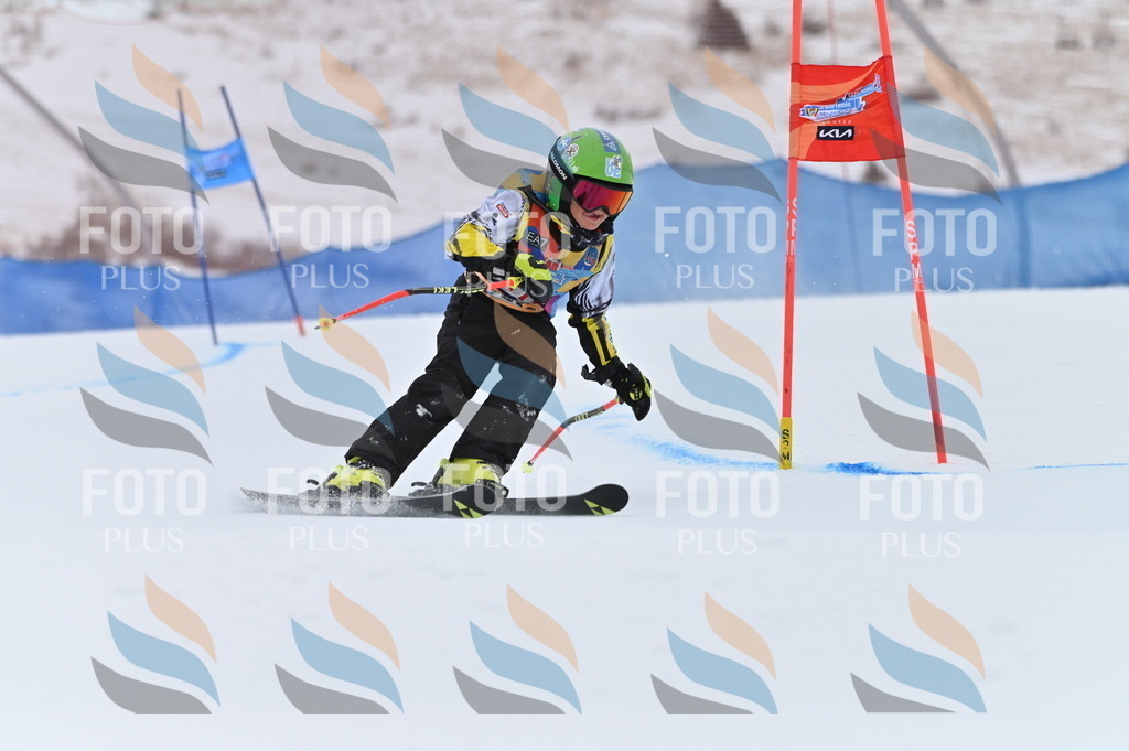 BGV_0588 | holidayphoto