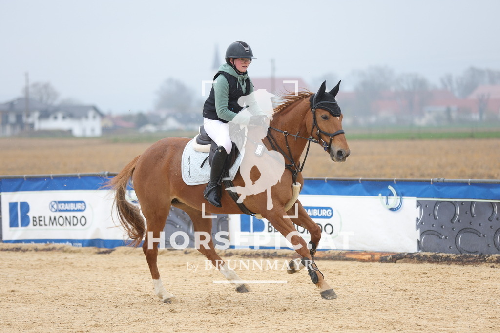 0P6A7326 | Willkommen bei Brunnmayr - Design & Fotografie – Ihrem Spezialisten für Reitturniere und Pferdeveranstaltungen in Oberösterreich, Salzburg und Bayern! Seit über 17 Jahren sind wir leidenschaftlich dabei.