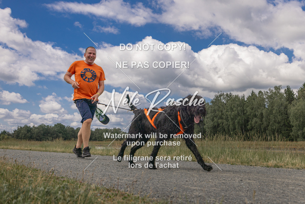 nelerasche_BuHu2026_SaCC1100-1200_52 | nelerasche
