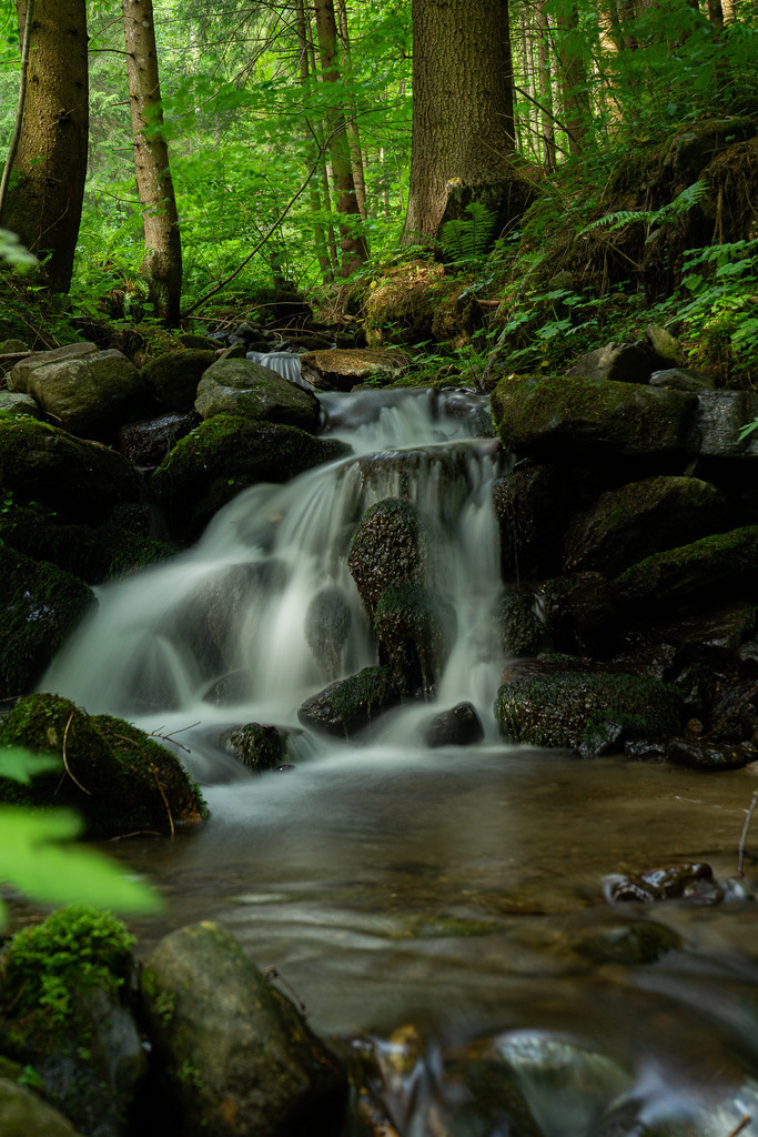 Bachlauf auf der Koralpe | Versteckt mitten im Wald findet man diesen schönen Bachlauf - Realisiert mit Pictrs.com