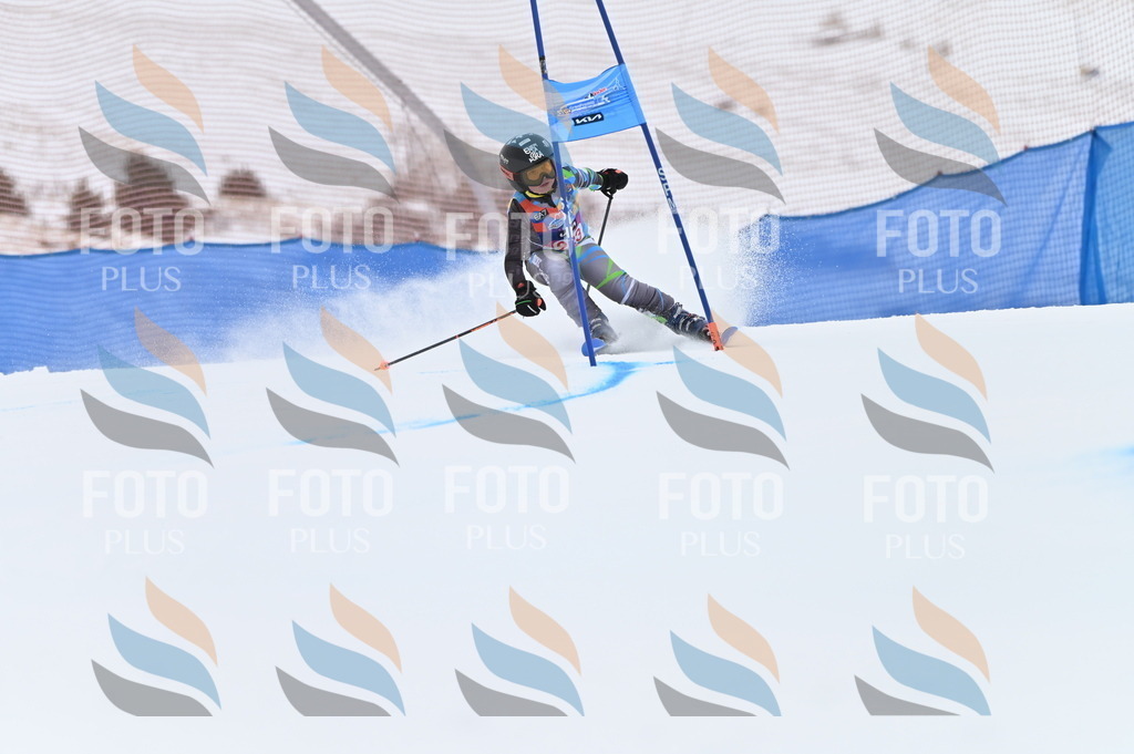 BGV_3204 | holidayphoto