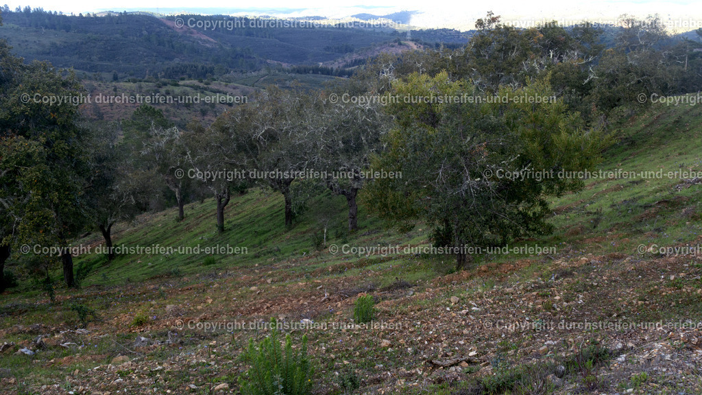 Ausblick nahe Cortelha in die Serra do Caldeirão Algarve | Ausblick nahe Cortelha in die Serra do Caldeirão Algarve - Realisiert mit Pictrs.com