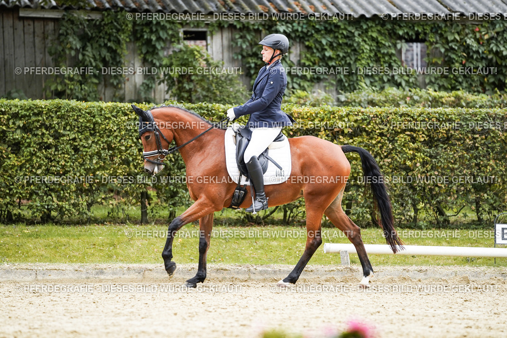 DSC01414 | Pferdegrafie