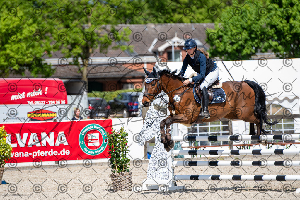 KPT_5307 | andre_photographic