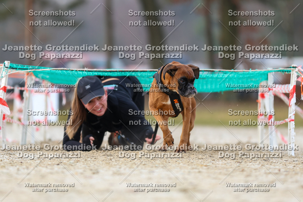 Dog Paparazzi - Strongdog North Mrz26-3807 | Dog Paparazzi Jeanette Grottendiek Fotografie & Videografie - Realisiert mit Pictrs.com