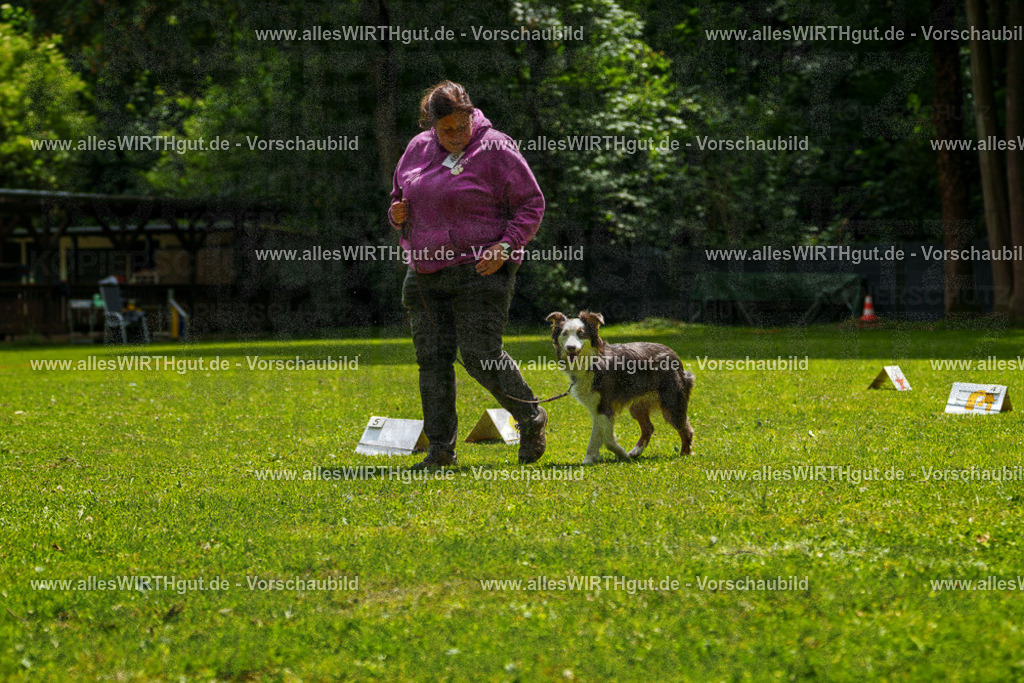 @allesWIRTHgut_Tierfotografie - www.allesWIRTHgut.de - 7R504887 | Professionelle Tierfotografie in Mönchengladbach von Daniel Wirth (allesWIRTHgut). Liebevolle & natürliche Bilder von Hunden & Katzen für unvergessliche Erinnerungen.