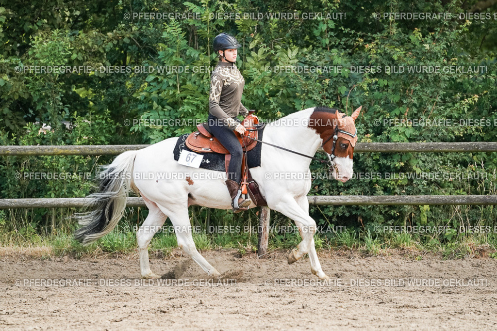 DSC04730 | Pferdegrafie