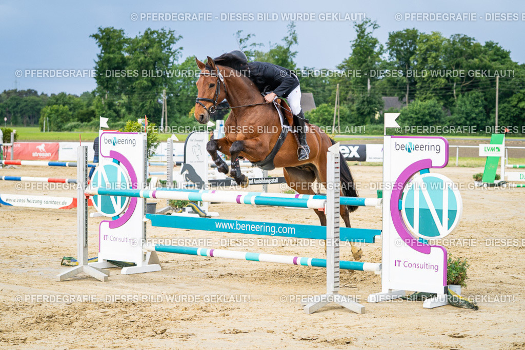 DSC03797 | Pferdegrafie