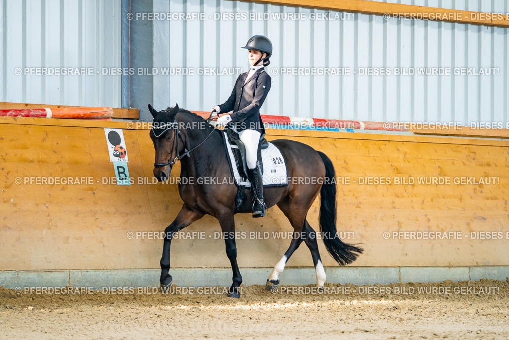 DSC06081 | Pferdegrafie