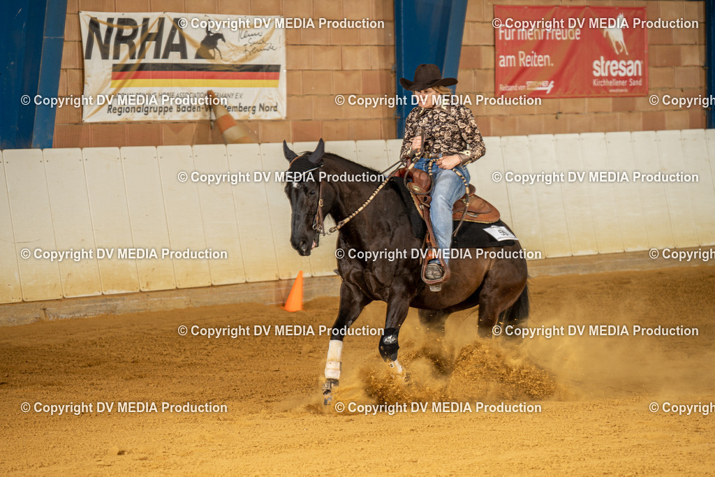 MIT01411 | dv-media-shop - Realisiert mit Pictrs.com