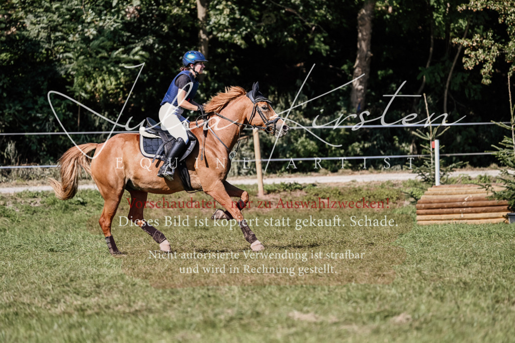 DSC_3061 | Pferde- und Turnierfotografie in Westsachsen. Pferdeportraits, Auftragszeichnungen und intuitive Kunst.