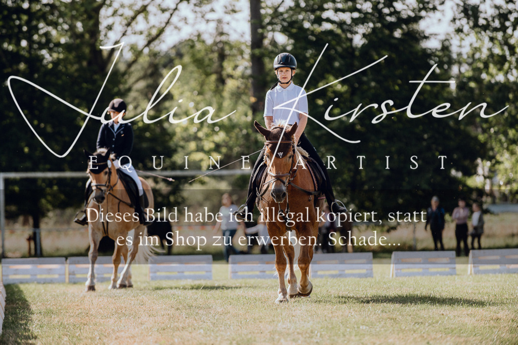 DSC_6887 | Pferde- und Turnierfotografie in Westsachsen. Pferdeportraits, Auftragszeichnungen und intuitive Kunst.