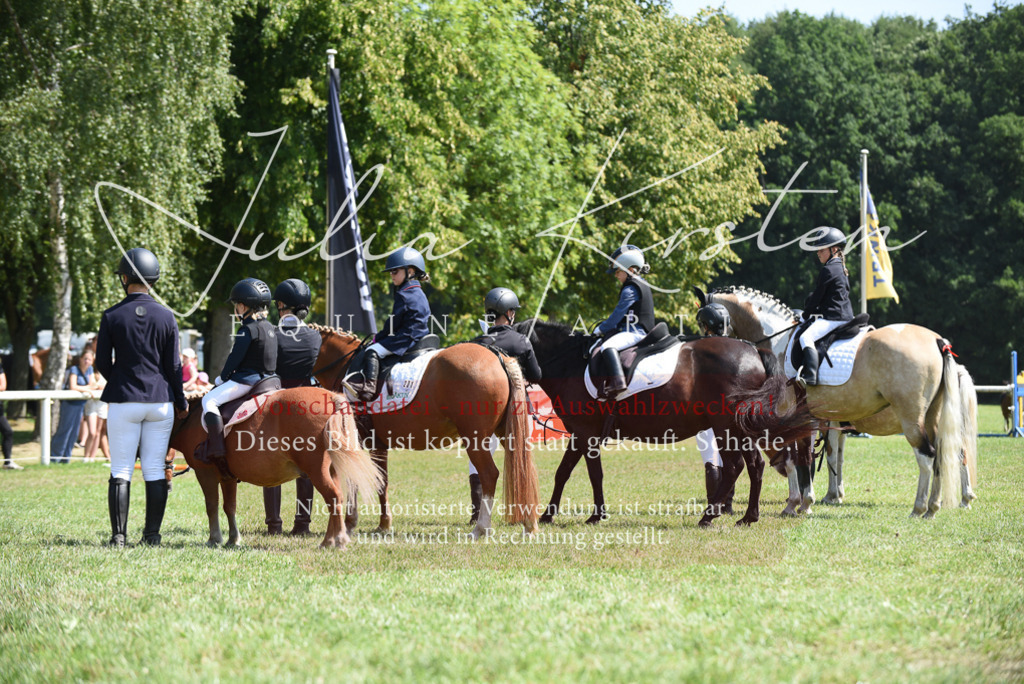 DSC_9873 | Pferde- und Turnierfotografie in Westsachsen. Pferdeportraits, Auftragszeichnungen und intuitive Kunst.