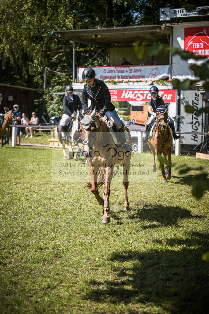 DOS_2949 | Entdecke hochwertige Reitturnierfotos von Foto Oger. Professionell, emotional und authentisch – jetzt Lieblingsmomente im Shop bestellen.Deutschlandweite Turnierfotografie. - Realisiert mit Pictrs.com