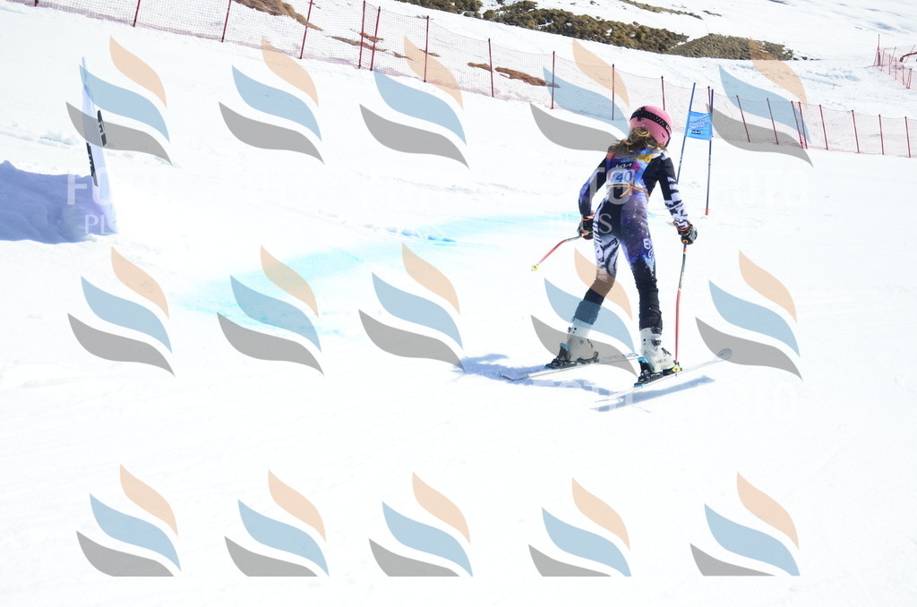 _ELE0906 | holidayphoto