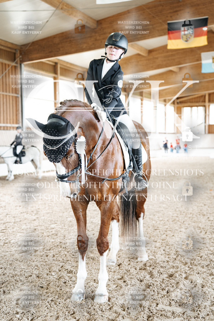 CK703366 | Turnierfotografie Pferdefotografie Trier Rheinland-Pfalz Pferdesport Reitsport Tierfotografie Sportfotografie Pferdevideo Pferdevideografie Equestrianvideography equestrianphotography  - Realisiert mit Pictrs.com