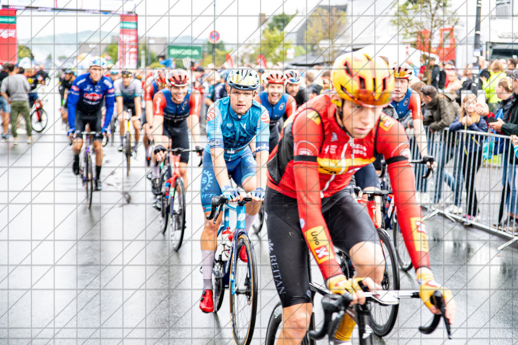 @Martin König_20230825__DSC5906 | bullenfotos|de - Realisiert mit Pictrs.com