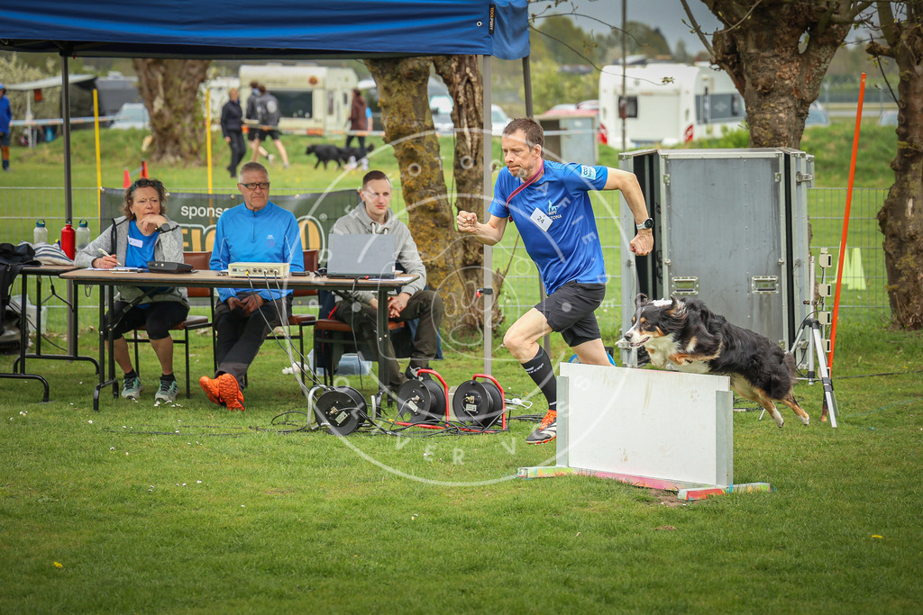 Pfotenfotografie_0L8A9716 | Hundefotografie, Tierfotograf, Pfotenfotografie, Fotoshooting Hund, Hunde Portrait, Hundesport, Hundeportraits, Heideshooting, Hunde, Sportfotograf, Hundefotograf, Turnierhundsport, THS,  - Realisiert mit Pictrs.com