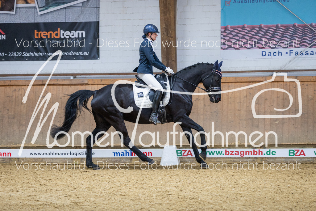 Sth-LPO25-A-Dr-094 | MomenTaufnahmen Pferdesportfotos