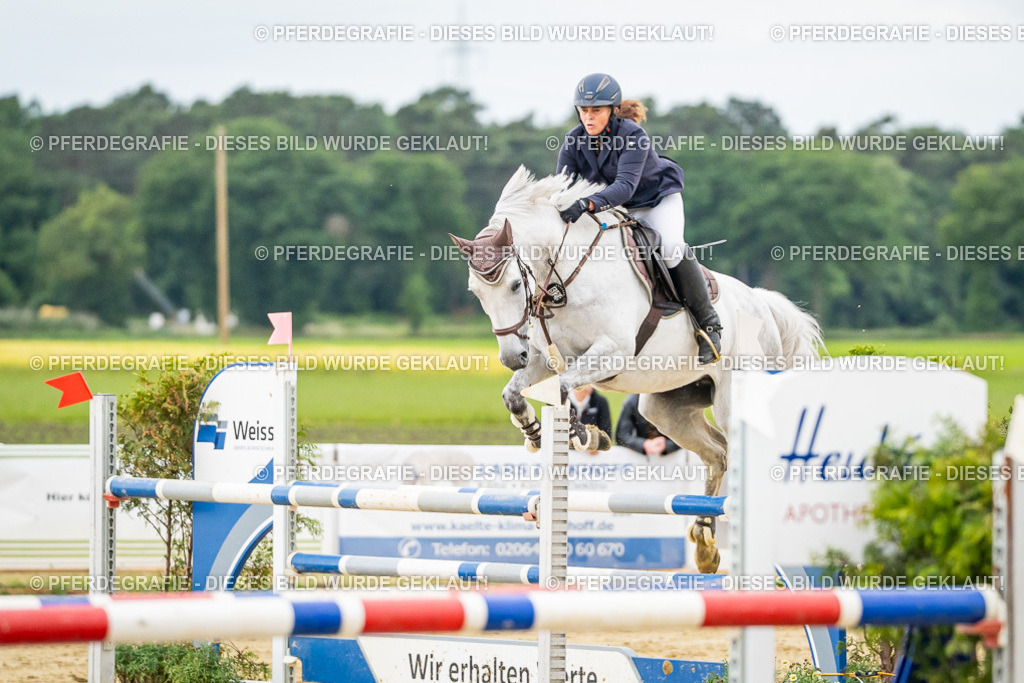 DSC06907 | Pferdegrafie