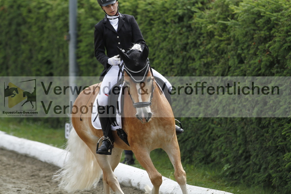 _MG_1006 | equestrian-live-com