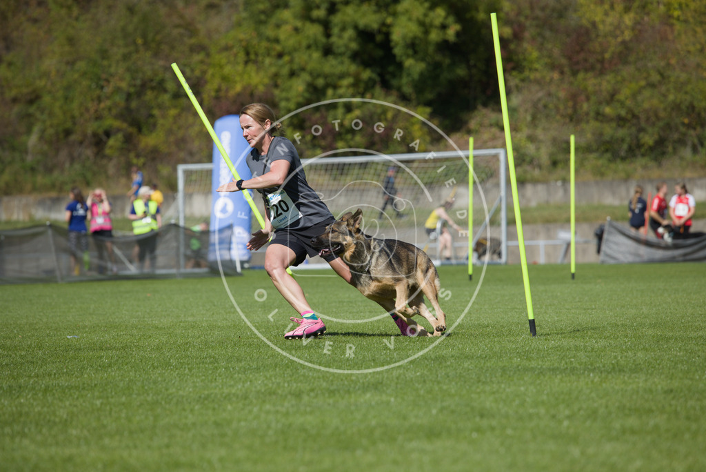 0L8A5957 | Hundefotografie, Tierfotograf, Pfotenfotografie, Fotoshooting Hund, Hunde Portrait, Hundesport, Hundeportraits, Heideshooting, Hunde, Sportfotograf, Hundefotograf, Turnierhundsport, THS,  - Realisiert mit Pictrs.com