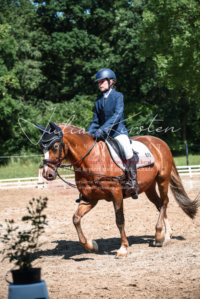 DSC_3528 | Pferde- und Turnierfotografie in Westsachsen. Pferdeportraits, Auftragszeichnungen und intuitive Kunst.