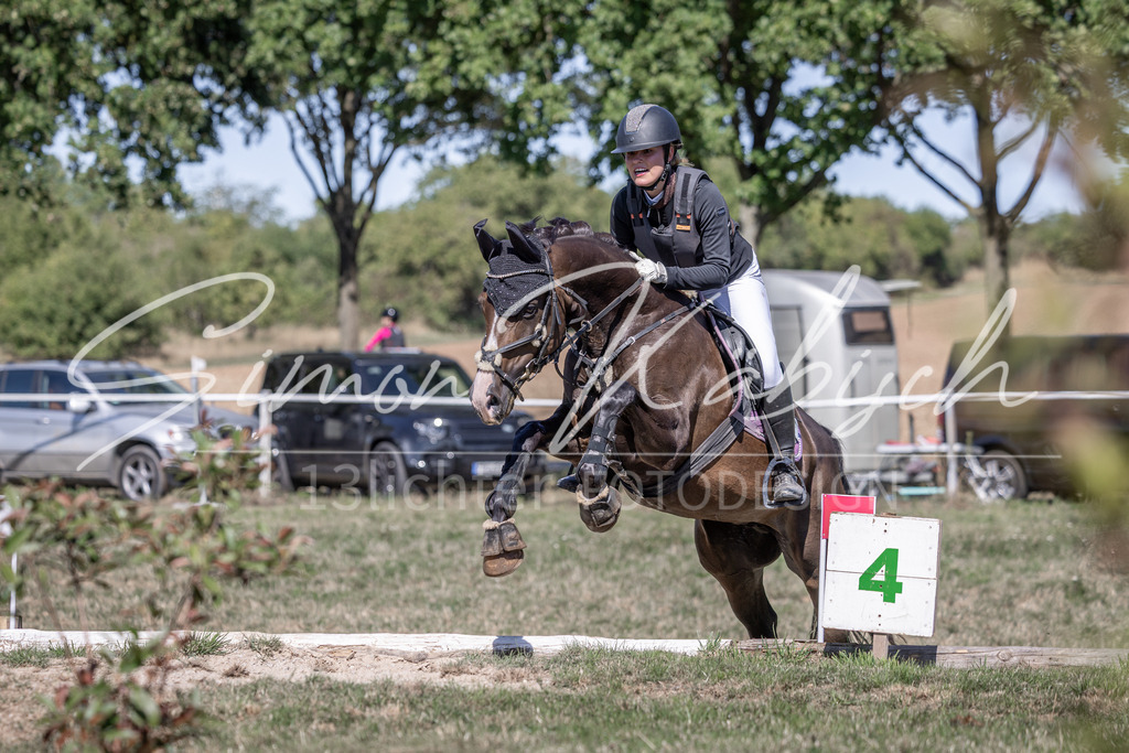20260906-_3LI3319 | Tierfotografie Pferde, Hunde, Katzen, Haustiere.
Turnierfotografie Reitturniere, Reiten, Springreiten, Dressur in Hanau, dem Main-Kinzig-Kreis und dem Rhein-Main- Gebiet um Frankfurt