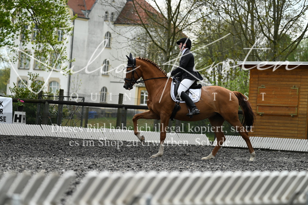 20230512_JK-Röhrsdorf-08-196 | Pferde- und Turnierfotografie in Westsachsen. Pferdeportraits, Auftragszeichnungen und intuitive Kunst.