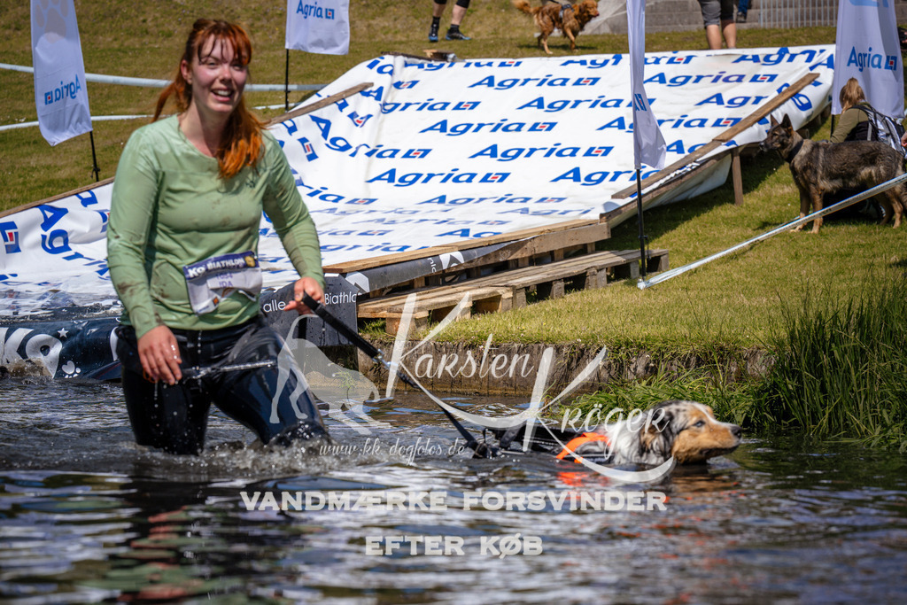 _ZZ973471025 | kk-dogfotos