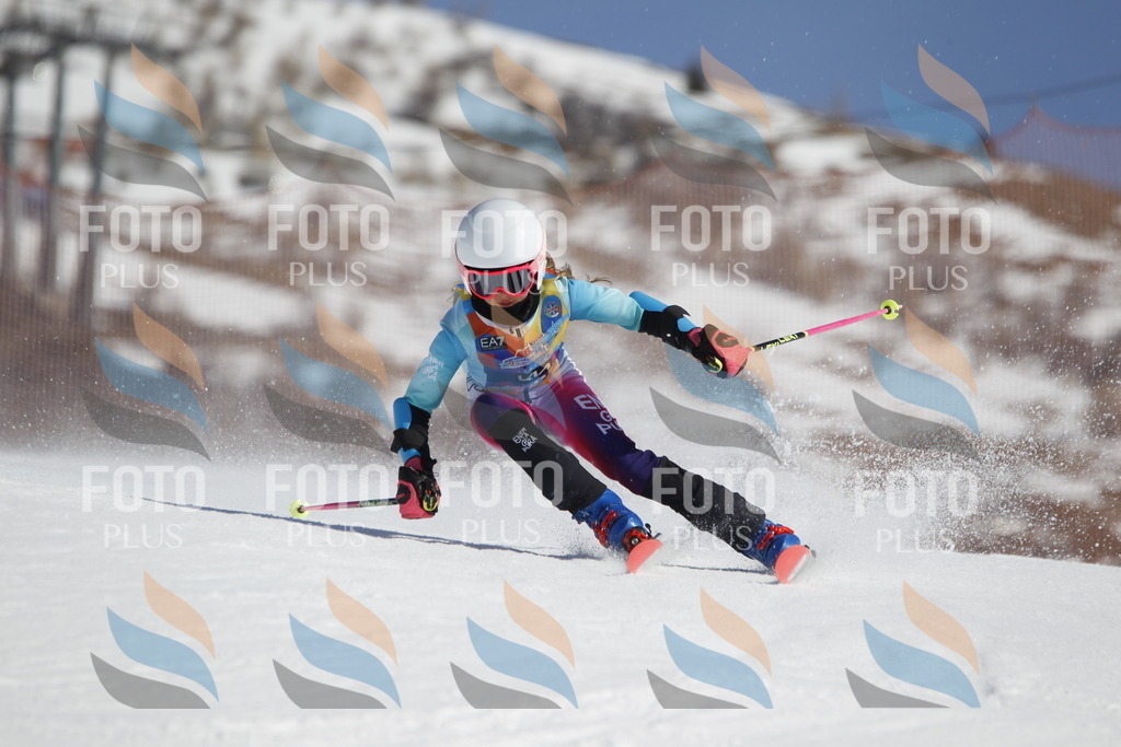 _U3G9877 | holidayphoto